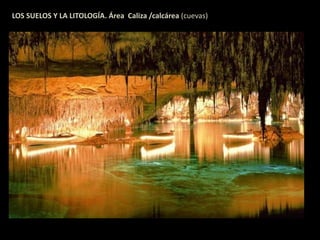 LOS SUELOS Y LA LITOLOGÍA. Área Caliza /calcárea (cuevas) 
 