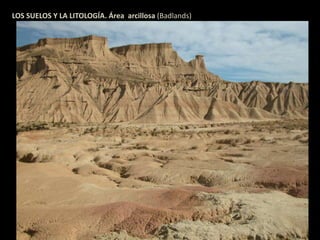 LOS SUELOS Y LA LITOLOGÍA. Área arcillosa (Badlands) 
 