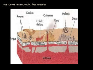 LOS SUELOS Y LA LITOLOGÍA. Área volcánica 
 