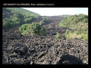 LOS SUELOS Y LA LITOLOGÍA. Área volcánica (malpaís) 
 