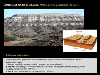 GRANDES UNIDADES DEL RELIEVE. Meseta Central y Cordilleras interiores 
b. Cuencas sedimentarias 
Superficies llanas o ligeramente onduladas formadas por la acumulación de sedimentos. En ellas 
pueden distinguirse: 
•Páramos: superficies planas y elevadas coronadas por un estrato calizo. 
•Campiñas: llanuras bajas suavemente onduladas donde los páramos han sido erosionados y afloran 
margas y arcillas de niveles inferiores. 
•Cuestas: zonas inclinadas entre los páramos y las campiñas. 
 