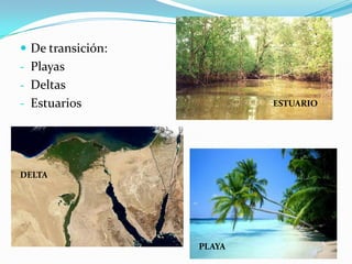 Química:Es la disgregación de las rocas por la alteración química de sus componentes.-Oxidación: Acción del oxígeno-Disolución: Materiales que se disuelven en el agua (carbonatos, cloruros, sulfatos…)-Carbonatación: Acción del agua con CO2-Hidrólisis: Contacto con los iones H+ y OH- del agua.