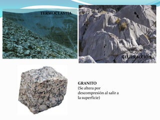 Taludes continentales: Bordes de los continentes.RIFTCORDILLERA