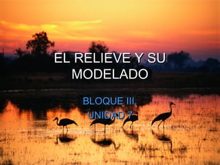 EL RELIEVE Y SU
MODELADO
BLOQUE III.
UNIDAD 7

 
