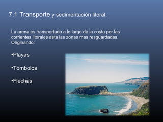 7.1 Transporte y sedimentación litoral.
La arena es transportada a lo largo de la costa por las
corrientes litorales asta las zonas mas resguardadas.
Originando:
•Playas
•Tómbolos
•Flechas
 