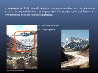 - Lengua glaciar. Es la parte de un glaciar desde que se adentra en un valle desde
el circo hasta que se fusiona. Las lenguas arrastran muchas rocas, que forman a su
vez depósitos de rocas llamados morrenas.
Morrena en Sierra Nevada.
A
B
A. Morrenas laterales.
Glaciar alpino.
B. Lengua glaciar
 