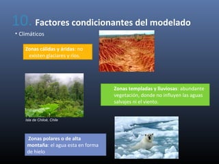 10. Factores condicionantes del modelado
• Climáticos
Zonas cálidas y áridas: no
existen glaciares y ríos.
Zonas templadas y lluviosas: abundante
vegetación, donde no influyen las aguas
salvajes ni el viento.
Zonas polares o de alta
montaña: el agua esta en forma
de hielo
Isla de Chiloé, Chile
 