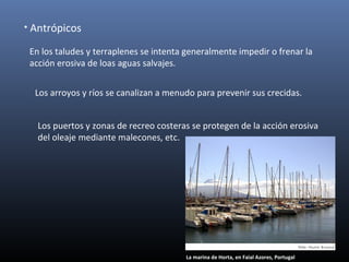 • Antrópicos
En los taludes y terraplenes se intenta generalmente impedir o frenar la
acción erosiva de loas aguas salvajes.
Los arroyos y ríos se canalizan a menudo para prevenir sus crecidas.
Los puertos y zonas de recreo costeras se protegen de la acción erosiva
del oleaje mediante malecones, etc.
La marina de Horta, en Faial Azores, Portugal
 