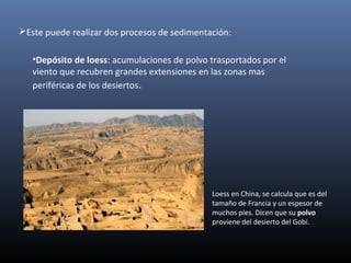 Este puede realizar dos procesos de sedimentación:
•Depósito de loess: acumulaciones de polvo trasportados por el
viento que recubren grandes extensiones en las zonas mas
periféricas de los desiertos.
Loess en China, se calcula que es del
tamaño de Francia y un espesor de
muchos pies. Dicen que su polvo
proviene del desierto del Gobi.
 