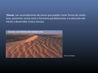 •Dunas: son acumulaciones de arena que pueden tener forma de media
luna, presentar cresta recta o formarse paralelamente a la dirección del
viento y desarrollar cresta sinuosa.
Dunas con forma de media luna
Dunas de Sahara
 