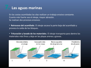 En las costas acantiladas las olas realizan un trabajo erosivo constante.
Cuanto más fuerte sea el oleaje, mayor abrasión.
Se realizan dos procesos erosivos:
• Retroceso del acantilado. El oleaje socava la parte baja del acantilado y
provoca la caída de los bloques.
• Trituración y lavado de los materiales. El oleaje transporta para dentro los
materiales más finos y deja en las playas arenas y gravas.
7. Las aguas marinas
 