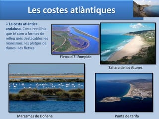 Les costes atlàntiques 
La costa atlàntica 
andalusa. Costa rectilínia 
que té com a formes de 
relleu més destacables les 
maresmes, les platges de 
dunes i les fletxes. 
Fletxa d’El Rompido 
Zahara de los Atunes 
Maresmes de Doñana Punta de tarifa 
 