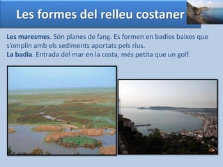 Les formes del relleu costaner 
Les maresmes. Són planes de fang. Es formen en badies baixes que 
s’omplin amb els sediments aportats pels rius. 
La badia. Entrada del mar en la costa, més petita que un golf. 
 