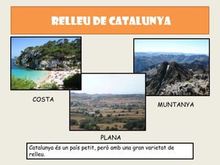 RELLEU DE CATALUNYA




 COSTA
                                                  MUNTANYA




                            PLANA
Catalunya és un país petit, però amb una gran varietat de
relleu.
 