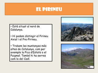 EL PIRINEU


• Està situat al nord de
Calalunya.

• Hi podem distingir el Pirineu
Axial i el Pre-Pirineu.

• Trobem les muntanyes més
altes de Catalunya, com per
exemple la Pica d’Estats o el
Puigmal. També hi ha serres
com la del Cadí.
 