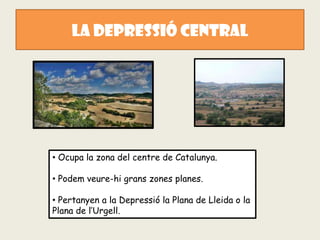 LA DEPRESSIÓ CENTRAL




• Ocupa la zona del centre de Catalunya.

• Podem veure-hi grans zones planes.

• Pertanyen a la Depressió la Plana de Lleida o la
Plana de l’Urgell.
 