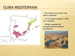  Les temperatures oscil·len entre els 11º i els 25ºVegetació oceànicaHi ha boscos frondosos de fulla caduca, amb roures, castanyers i faigs.