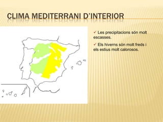  Los prats naturals es mantenen verds durant tot l’any.