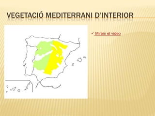 Mirem el vídeoEls hiverns són suaus i els estius calorosos.