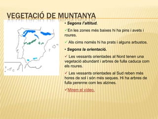  Moltes vegades les precipitacions provoquen inundacions.Clima mediterrani
