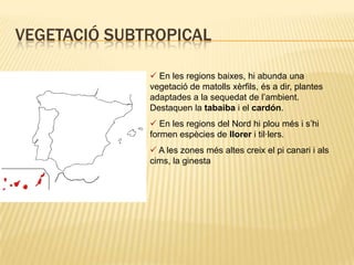 Als boscos abunden els pins en les zones més altes i castanyers y roures en les zones més baixes.