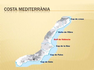 Costa mediterrÀniaCap de creusDelta de l’EbreGolf de ValènciaCap de la NauCap de PalosCap de Gata