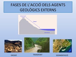 FASES DE L’ACCIÓ DELS AGENTS
    GEOLÒGICS EXTERNS




EROSIÓ     TRANSPORT   SEDIMENTACIÓ
 