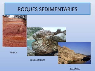 ROQUES SEDIMENTÀRIES




ARGILA


             CONGLOMERAT


                           CALCÀRIA
 
