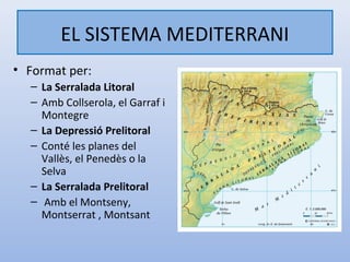 EL SISTEMA MEDITERRANI
• Format per:
  – La Serralada Litoral
  – Amb Collserola, el Garraf i
    Montegre
  – La Depressió Prelitoral
  – Conté les planes del
    Vallès, el Penedès o la
    Selva
  – La Serralada Prelitoral
  – Amb el Montseny,
    Montserrat , Montsant
 