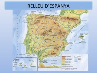 RELLEU D’ESPANYA
 