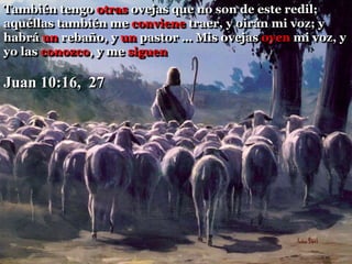 También tengo otras ovejas que no son de este redil;
aquéllas también me conviene traer, y oirán mi voz; y
habrá un rebaño, y un pastor … Mis ovejas oyen mi voz, y
yo las conozco, y me siguen
Juan 10:16, 27
 