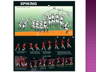 LEF RENE DÍAZ MONTEJO 
