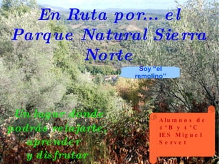 En Ruta por... el Parque Natural Sierra Norte Un lugar donde  podrás relajarte, aprender  y disfrutar Alumnos de 4ºB y 4ºC  IES Miguel Servet S oy “el remolino” 