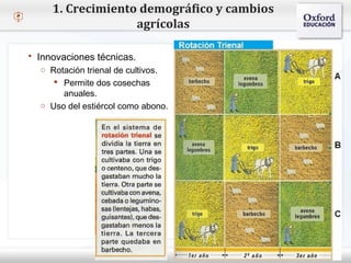 – Haga clic para modificar el estilo de texto del patrón
 Segundo nivel
o Tercer nivel
 Cuarto nivel
 Quinto nivel
1. Crecimiento demográfico y cambios
agrícolas
 Innovaciones técnicas.
o Rotación trienal de cultivos.
 Permite dos cosechas
anuales.
o Uso del estiércol como abono.
 