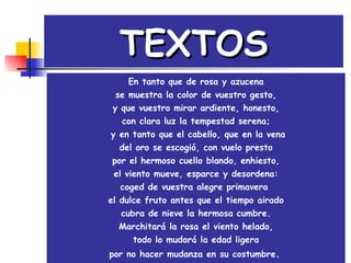 TEXTOS En tanto que de rosa y azucena se muestra la color de vuestro gesto, y que vuestro mirar ardiente, honesto, con clara luz la tempestad serena;   y en tanto que el cabello, que en la vena del oro se escogió, con vuelo presto por el hermoso cuello blando, enhiesto, el viento mueve, esparce y desordena: coged de vuestra alegre primavera  el dulce fruto antes que el tiempo airado cubra de nieve la hermosa cumbre. Marchitará la rosa el viento helado, todo lo mudará la edad ligera por no hacer mudanza en su costumbre .   