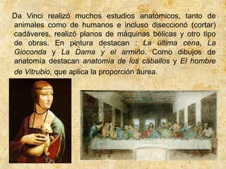 Da Vinci realizó muchos estudios anatómicos, tanto de
animales como de humanos e incluso diseccionó (cortar)
cadáveres, realizó planos de máquinas bélicas y otro tipo
de obras. En pintura destacan : La última cena, La
Gioconda y La Dama y el armiño. Como dibujos de
anatomía destacan anatomía de los caballos y El hombre
de Vitrubio, que aplica la proporción áurea.
 