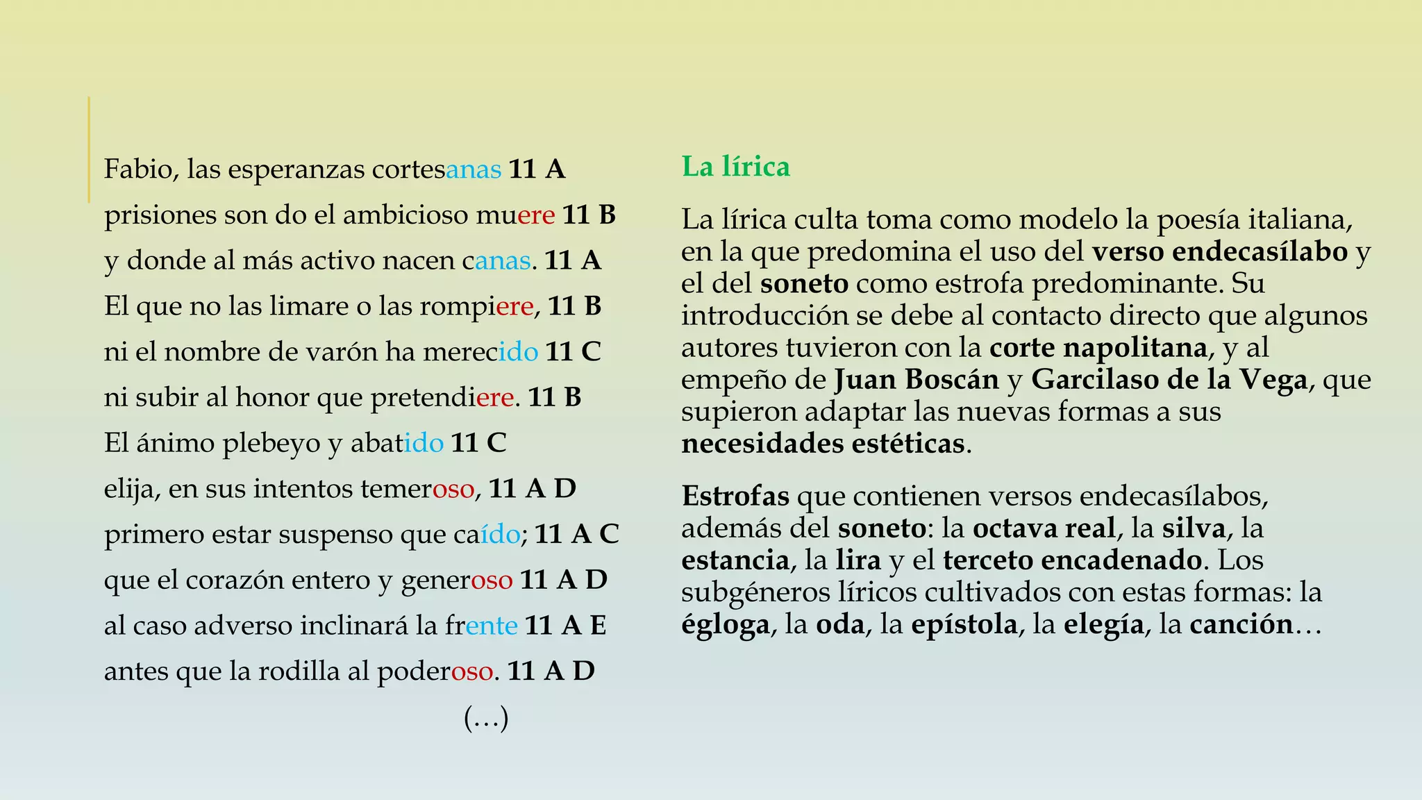 La lírica
La lírica culta toma como modelo la poesía italiana,
en la que predomina el uso del verso endecasílabo y
el del soneto como estrofa predominante. Su
introducción se debe al contacto directo que algunos
autores tuvieron con la corte napolitana, y al
empeño de Juan Boscán y Garcilaso de la Vega, que
supieron adaptar las nuevas formas a sus
necesidades estéticas.
Estrofas que contienen versos endecasílabos,
además del soneto: la octava real, la silva, la
estancia, la lira y el terceto encadenado. Los
subgéneros líricos cultivados con estas formas: la
égloga, la oda, la epístola, la elegía, la canción…
Fabio, las esperanzas cortesanas 11 A
prisiones son do el ambicioso muere 11 B
y donde al más activo nacen canas. 11 A
El que no las limare o las rompiere, 11 B
ni el nombre de varón ha merecido 11 C
ni subir al honor que pretendiere. 11 B
El ánimo plebeyo y abatido 11 C
elija, en sus intentos temeroso, 11 A D
primero estar suspenso que caído; 11 A C
que el corazón entero y generoso 11 A D
al caso adverso inclinará la frente 11 A E
antes que la rodilla al poderoso. 11 A D
(…)
 