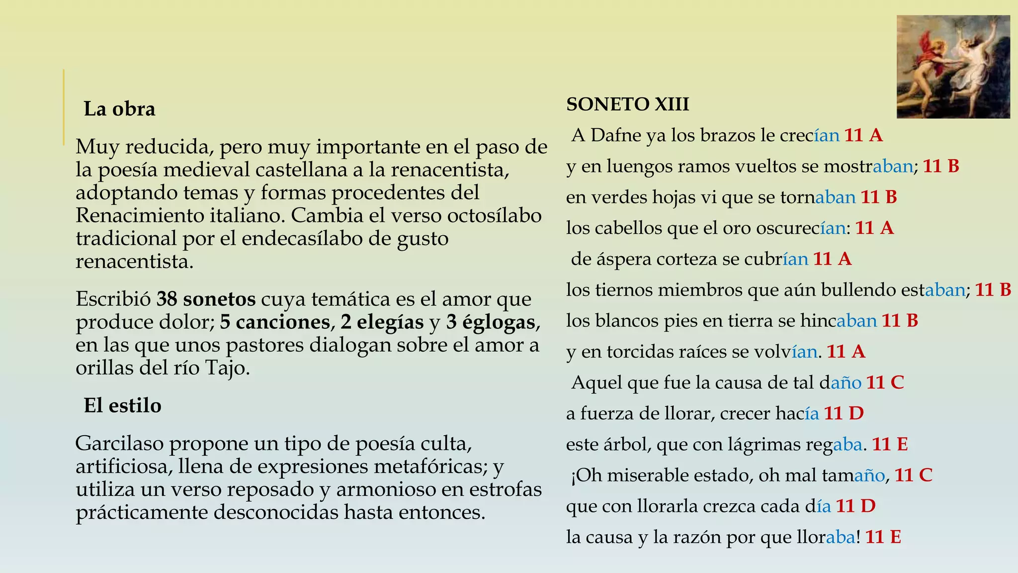 La obra
Muy reducida, pero muy importante en el paso de
la poesía medieval castellana a la renacentista,
adoptando temas y formas procedentes del
Renacimiento italiano. Cambia el verso octosílabo
tradicional por el endecasílabo de gusto
renacentista.
Escribió 38 sonetos cuya temática es el amor que
produce dolor; 5 canciones, 2 elegías y 3 églogas,
en las que unos pastores dialogan sobre el amor a
orillas del río Tajo.
El estilo
Garcilaso propone un tipo de poesía culta,
artificiosa, llena de expresiones metafóricas; y
utiliza un verso reposado y armonioso en estrofas
prácticamente desconocidas hasta entonces.
SONETO XIII
A Dafne ya los brazos le crecían 11 A
y en luengos ramos vueltos se mostraban; 11 B
en verdes hojas vi que se tornaban 11 B
los cabellos que el oro oscurecían: 11 A
de áspera corteza se cubrían 11 A
los tiernos miembros que aún bullendo estaban; 11 B
los blancos pies en tierra se hincaban 11 B
y en torcidas raíces se volvían. 11 A
Aquel que fue la causa de tal daño 11 C
a fuerza de llorar, crecer hacía 11 D
este árbol, que con lágrimas regaba. 11 E
¡Oh miserable estado, oh mal tamaño, 11 C
que con llorarla crezca cada día 11 D
la causa y la razón por que lloraba! 11 E
 