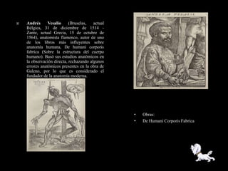   Andrés      Vesalio     (Bruselas,   actual
    Bélgica, 31 de diciembre de 1514 -
    Zante, actual Grecia, 15 de octubre de
    1564), anatomista flamenco, autor de uno
    de los libros más influyentes sobre
    anatomía humana, De humani corporis
    fabrica (Sobre la estructura del cuerpo
    humano). Basó sus estudios anatómicos en
    la observación directa, rechazando algunos
    errores anatómicos presentes en la obra de
    Galeno, por lo que es considerado el
    fundador de la anatomía moderna.




                                                  •   Obras:
                                                  •   De Humani Corporis Fabrica
 