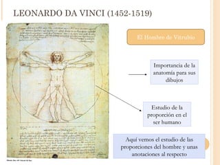 LEONARDO DA VINCI (1452-1519) Importancia de la anatomía para sus dibujos Aquí vemos el estudio de las proporciones del hombre y unas anotaciones al respecto Estudio de la proporción en el ser humano El Hombre de Vitrubio 