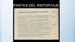 El reportaje