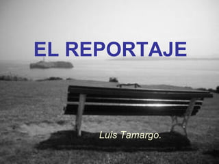 EL REPORTAJE Luis Tamargo. 