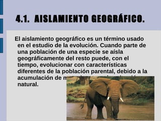4.1. AISL AMIENTO GEOGRÁFICO.

El aislamiento geográfico es un término usado
 en el estudio de la evolución. Cuando parte de
 una población de una especie se aísla
 geográficamente del resto puede, con el
 tiempo, evolucionar con características
 diferentes de la población parental, debido a la
 acumulación de mutaciones y a la selección
 natural.
 