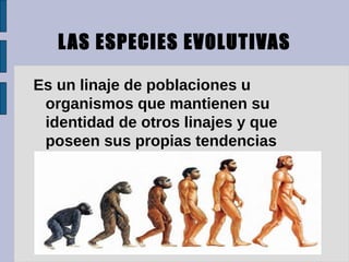 L AS ESPECIES EVOLUTIVAS

Es un linaje de poblaciones u
 organismos que mantienen su
 identidad de otros linajes y que
 poseen sus propias tendencias
 históricas y evolutivas.
 