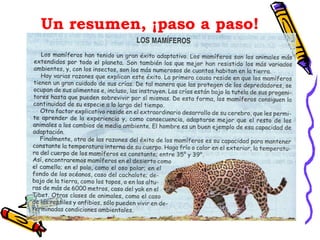 Un resumen, ¡paso a paso! 