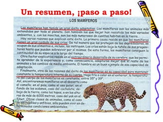 Un resumen, ¡paso a paso! 