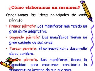 ¿Cómo elaboramos un resumen? Organizamos las ideas principales de cada párrafo: Primer párrafo :  Los mamíferos han tenido un gran éxito adaptativo. Segundo párrafo :  Los mamíferos tienen un gran cuidado de sus crías. Tercer párrafo :  El extraordinario desarrollo de su cerebro. Cuarto párrafo :  Los mamíferos tienen la capacidad para mantener constante la temperatura interna de sus cuerpos. 