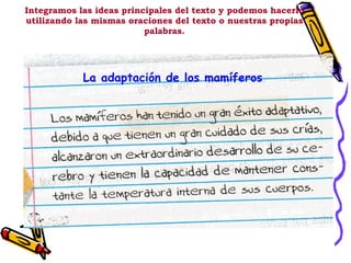 Integramos las ideas principales del texto y podemos hacerlo utilizando las mismas oraciones del texto o nuestras propias palabras. La adaptación de los mamíferos 