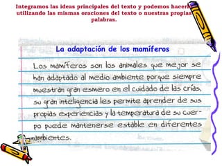 Integramos las ideas principales del texto y podemos hacerlo utilizando las mismas oraciones del texto o nuestras propias palabras. La adaptación de los mamíferos 
