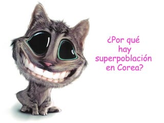¿Por qué
      hay
superpoblación
   en Corea?
 